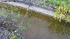 area10-20240909130035.jpg