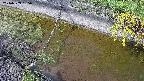 area10-20240909135035.jpg