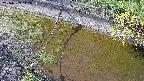 area10-20240909142035.jpg