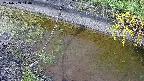 area10-20240909144034.jpg