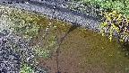 area10-20240909145035.jpg