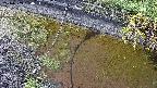 area10-20240909150035.jpg