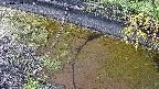 area10-20240909151034.jpg