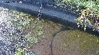 area10-20240909160034.jpg