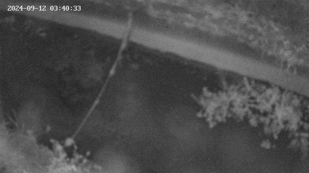 area10-20240912034034.jpg