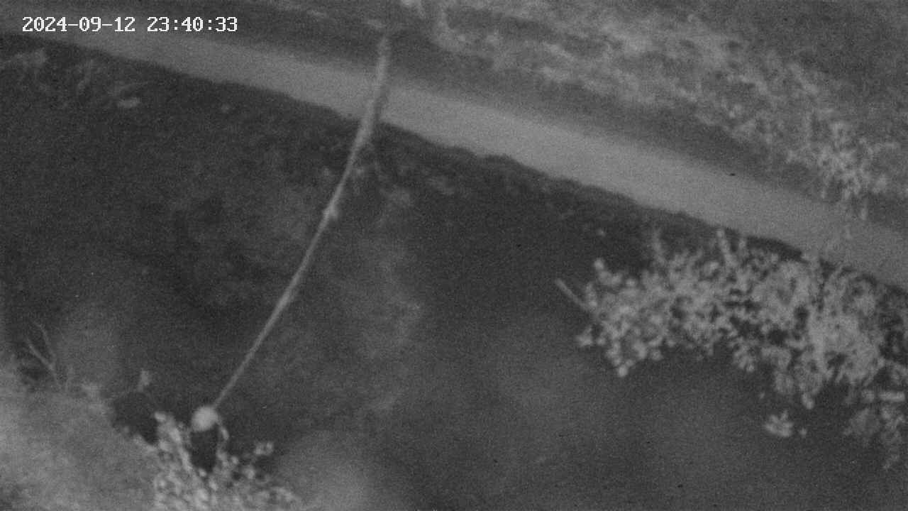 area10-20240912234034.jpg