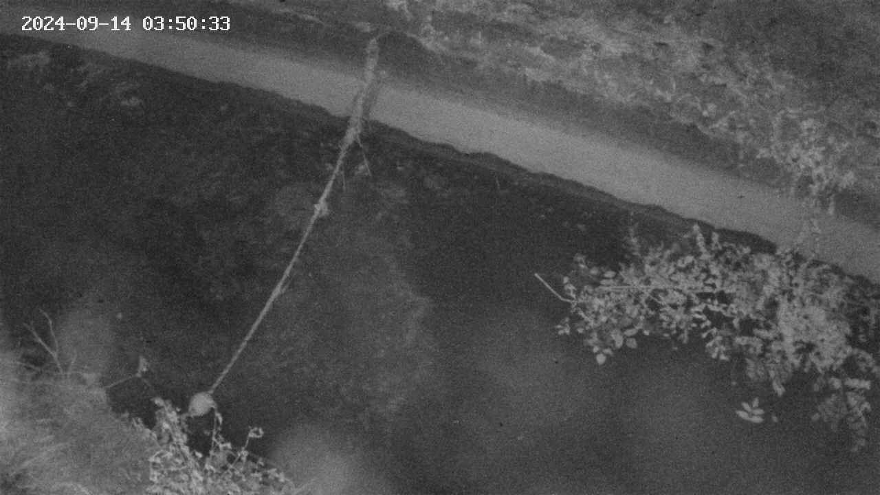 area10-20240914035034.jpg