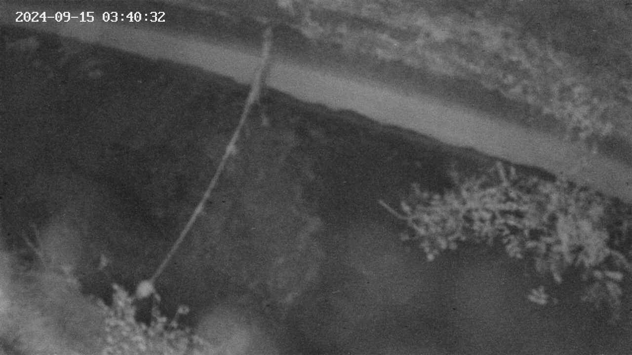 area10-20240915034033.jpg