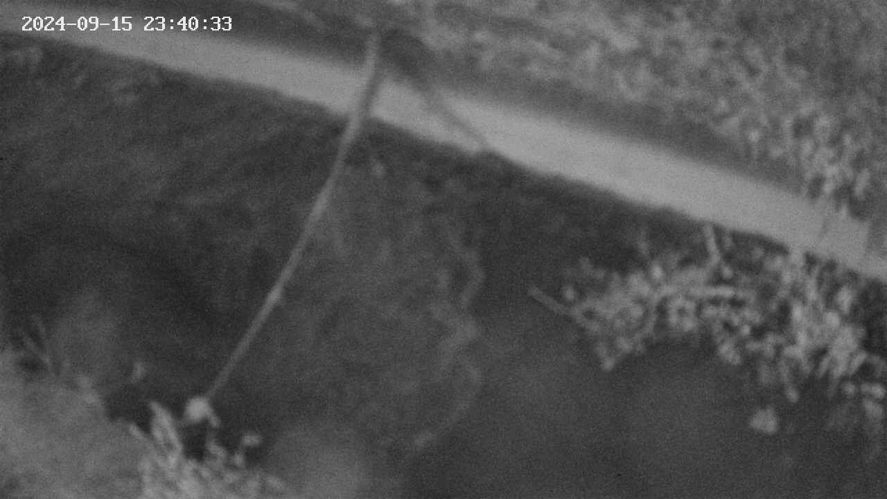 area10-20240915234034.jpg