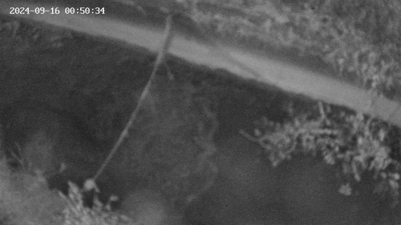 area10-20240916005035.jpg