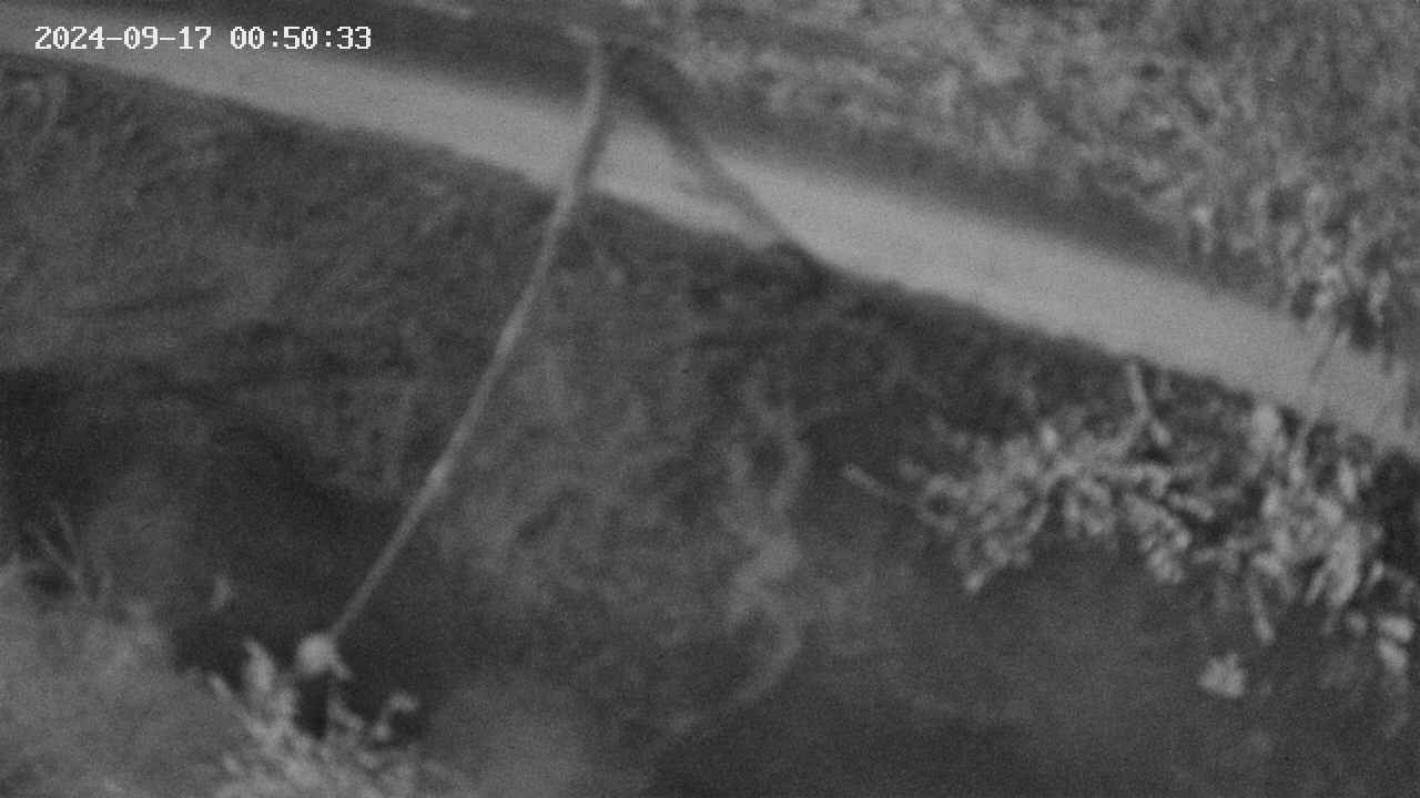 area10-20240917005033.jpg