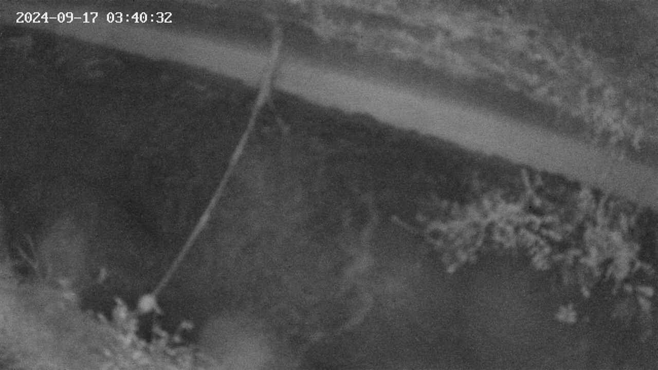 area10-20240917034033.jpg