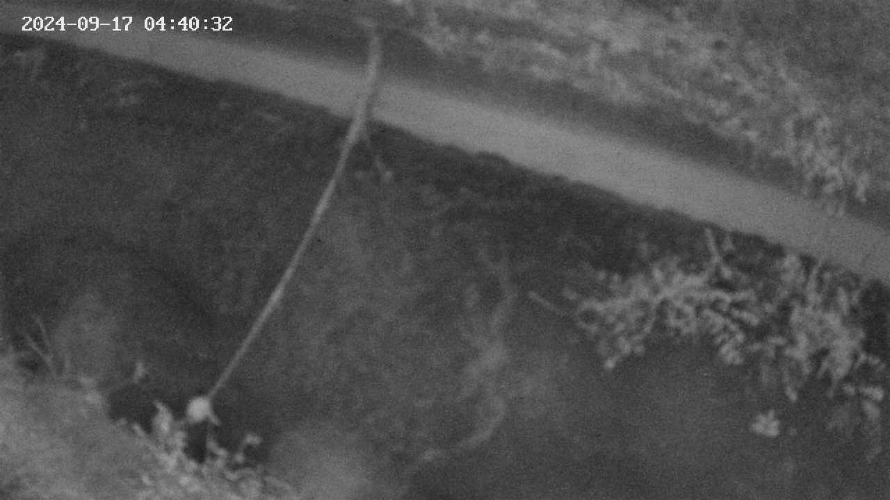 area10-20240917044033.jpg