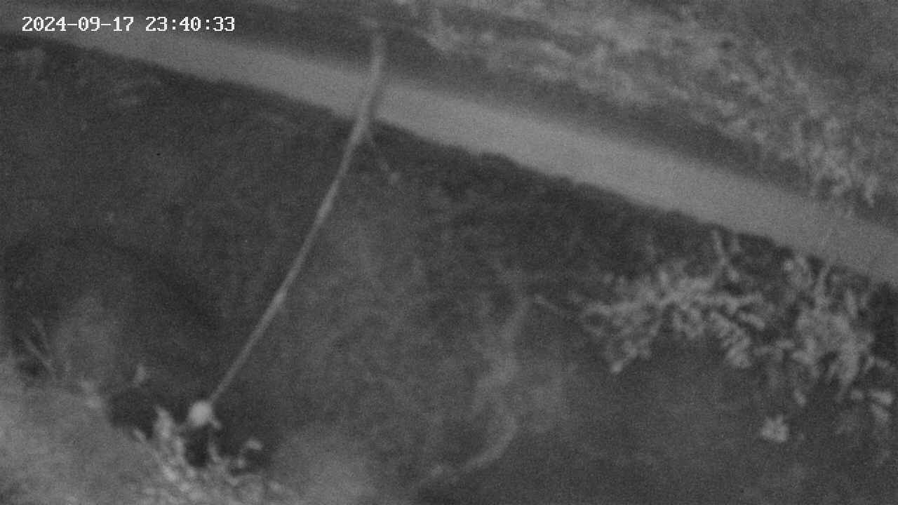 area10-20240917234034.jpg