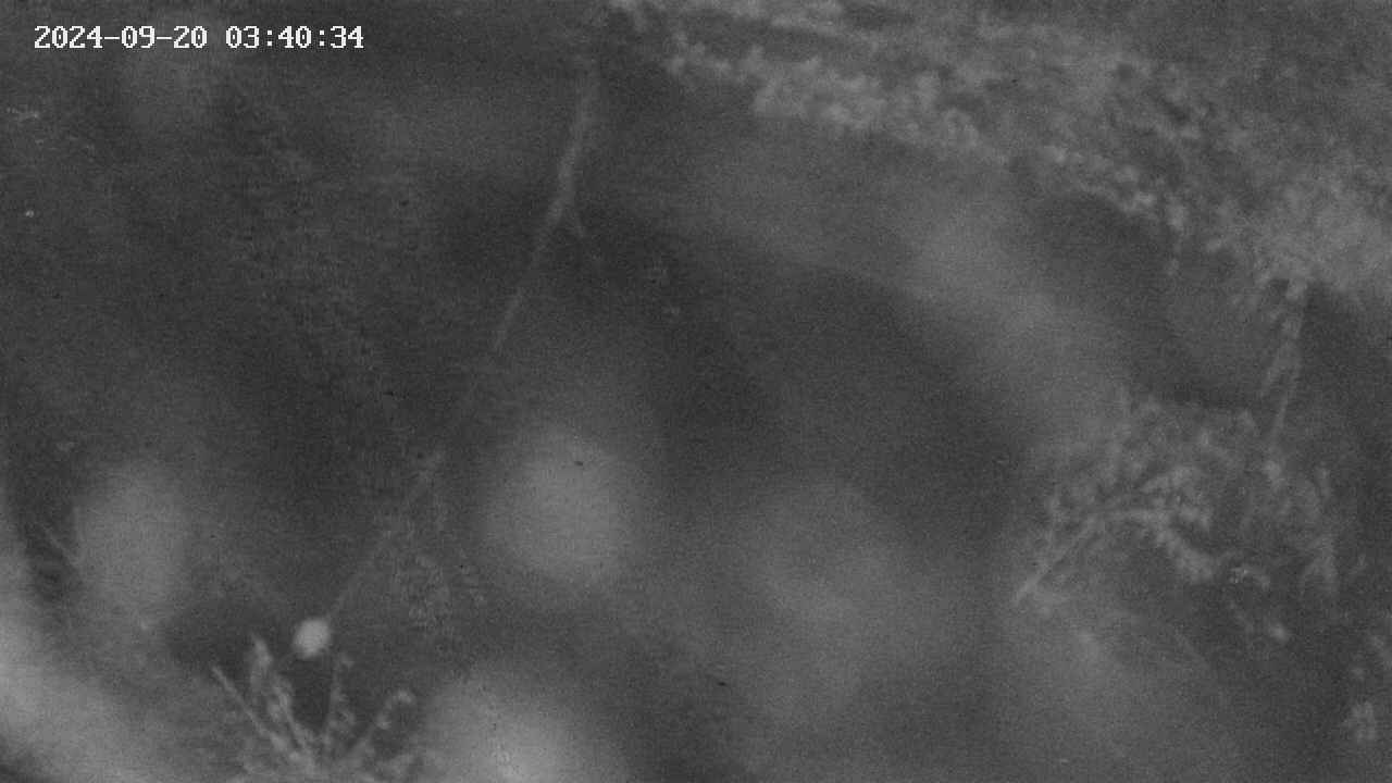 area10-20240920034034.jpg