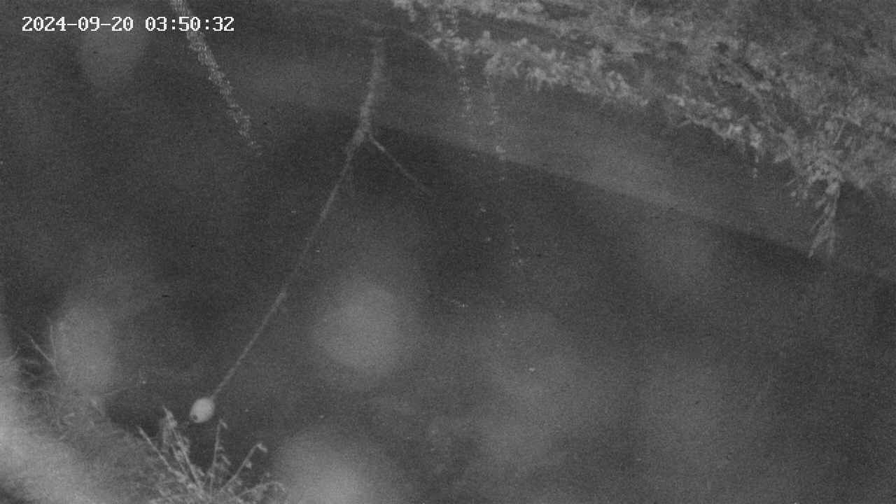 area10-20240920035033.jpg