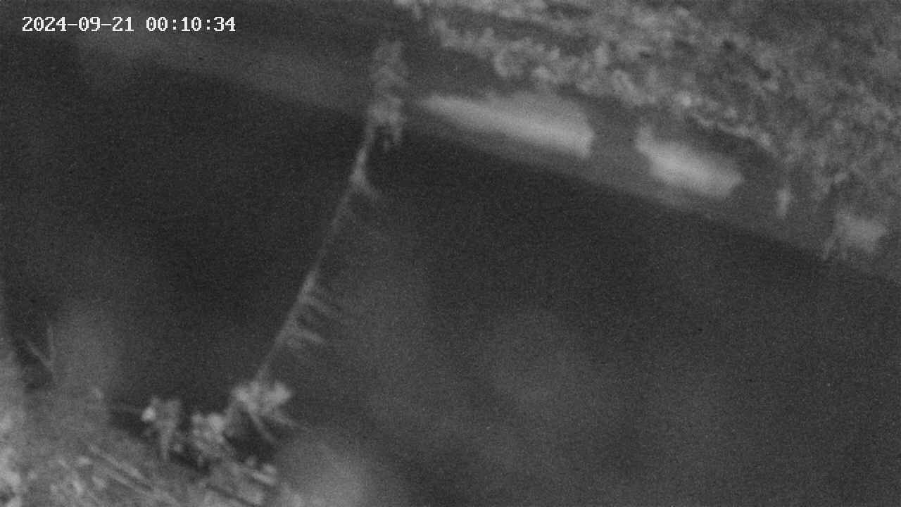 area10-20240921001035.jpg