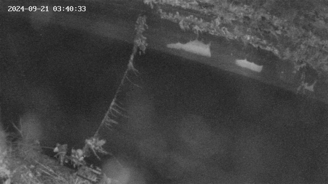 area10-20240921034034.jpg