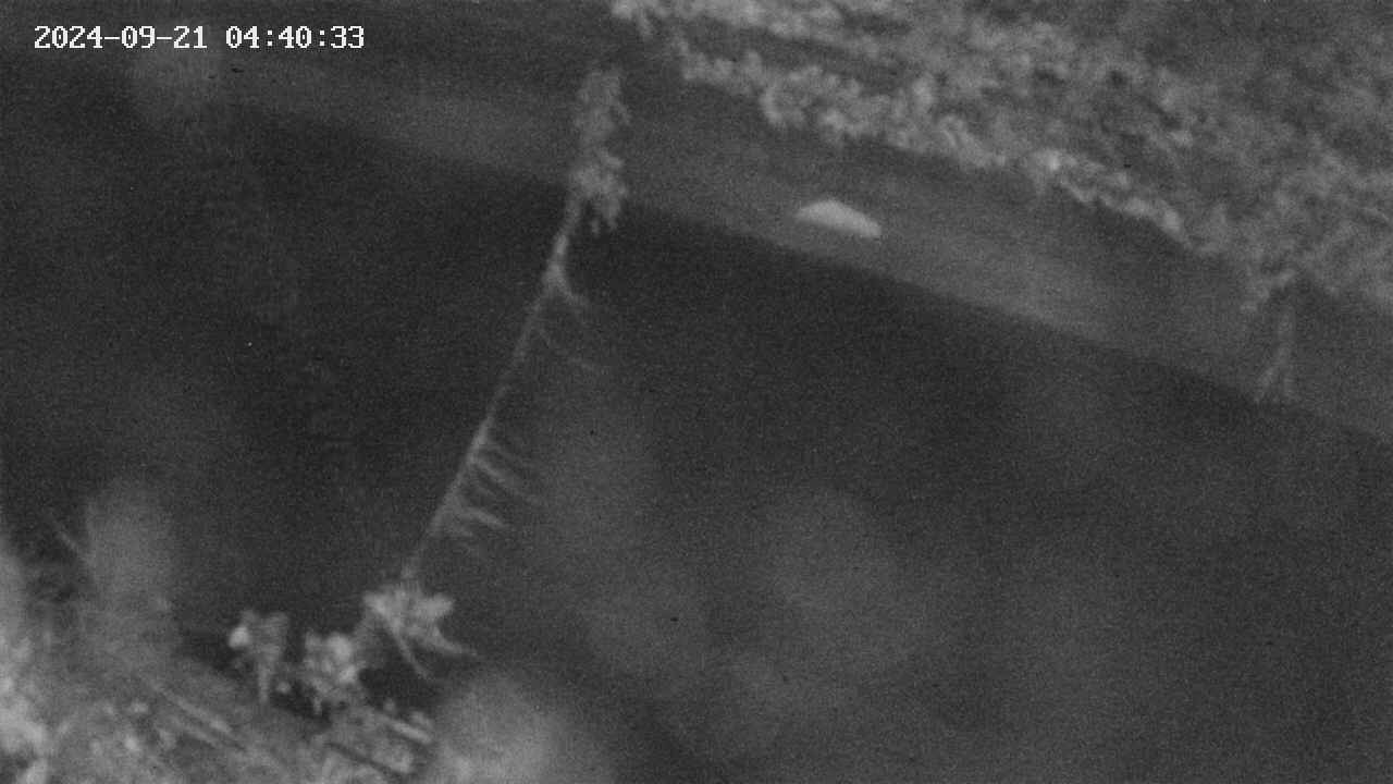 area10-20240921044034.jpg