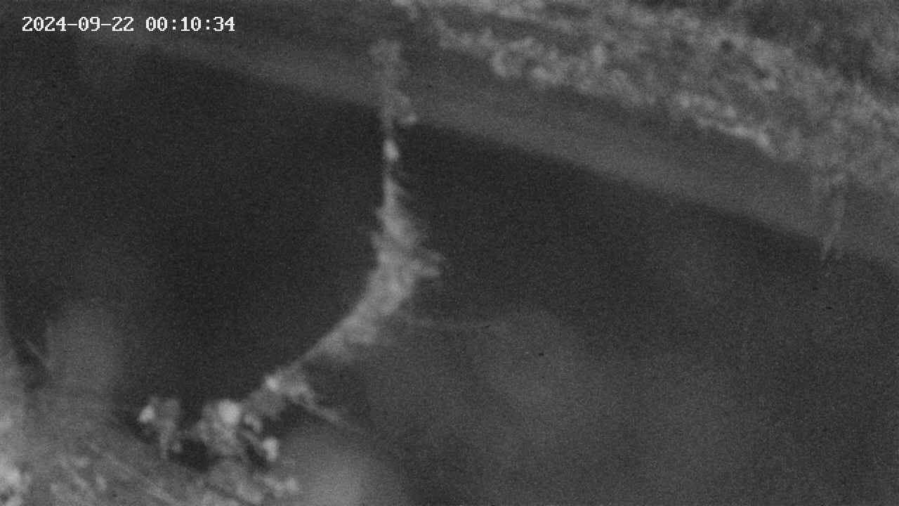 area10-20240922001035.jpg