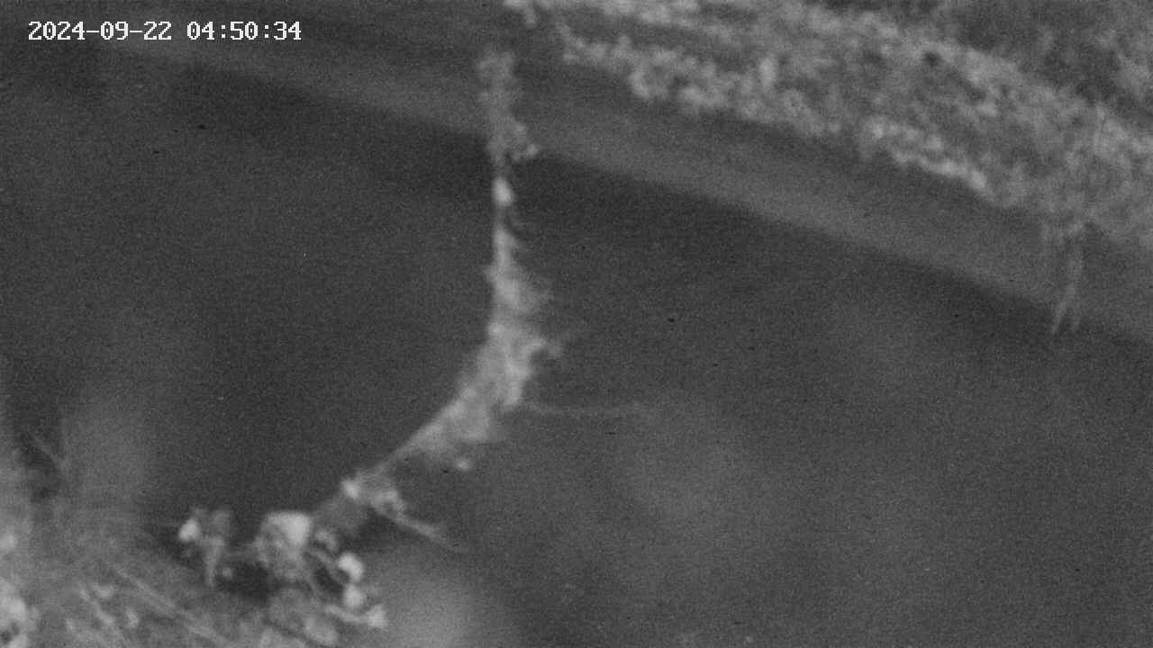 area10-20240922045034.jpg