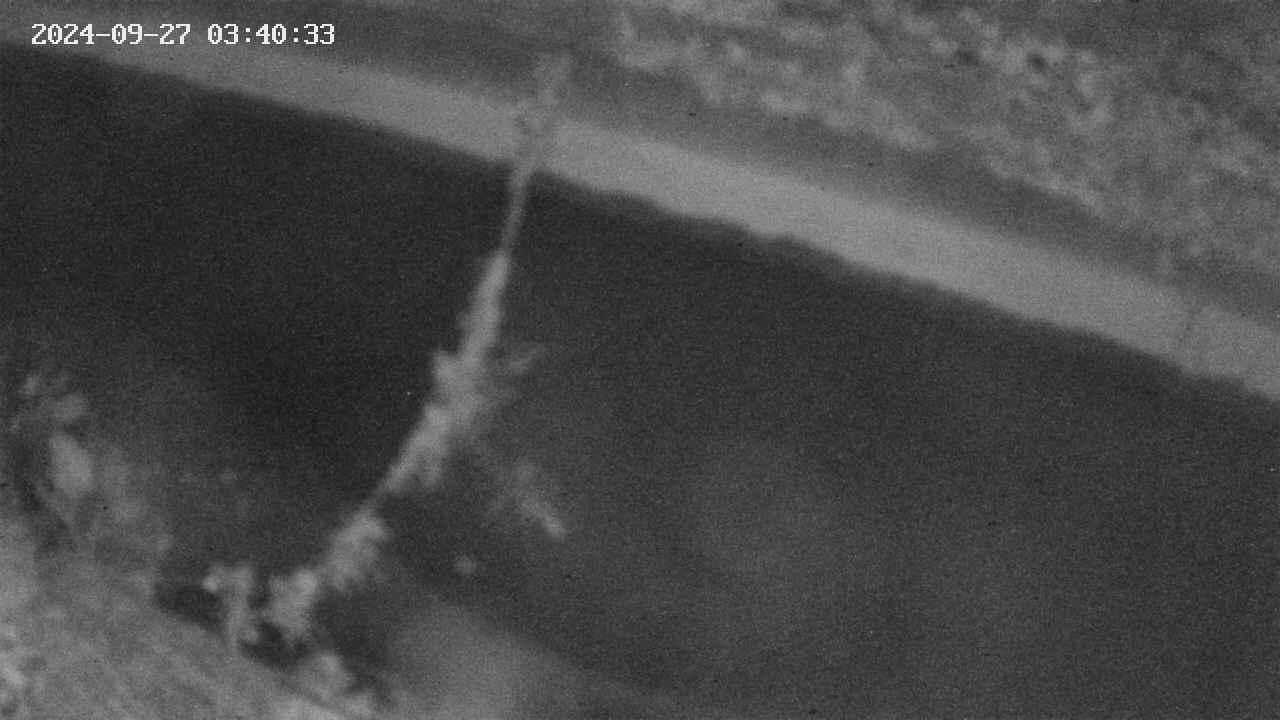 area10-20240927034034.jpg