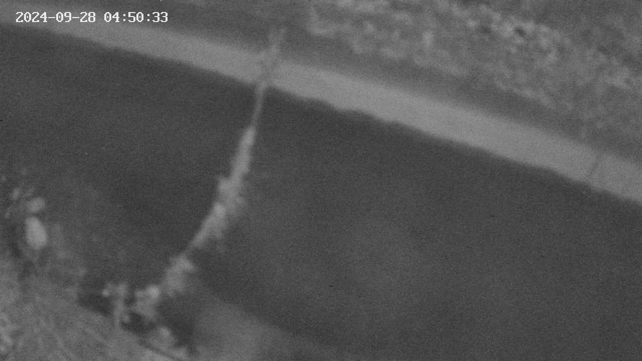 area10-20240928045034.jpg