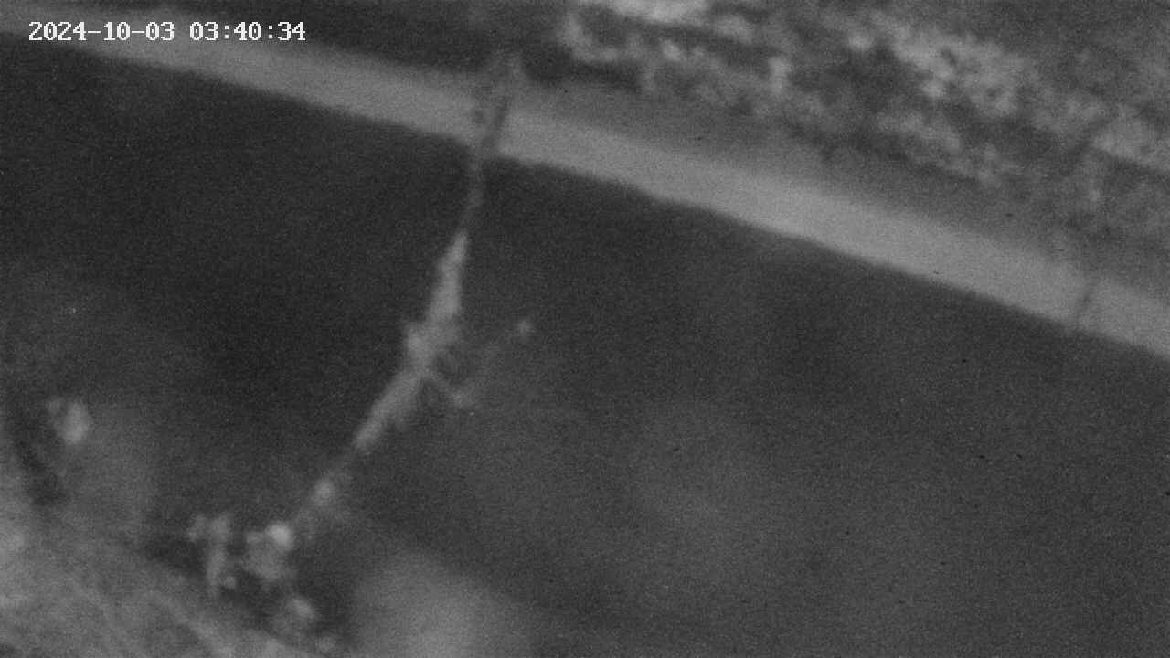area10-20241003034034.jpg