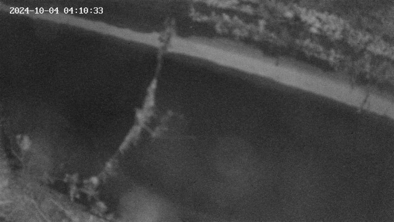 area10-20241004041034.jpg