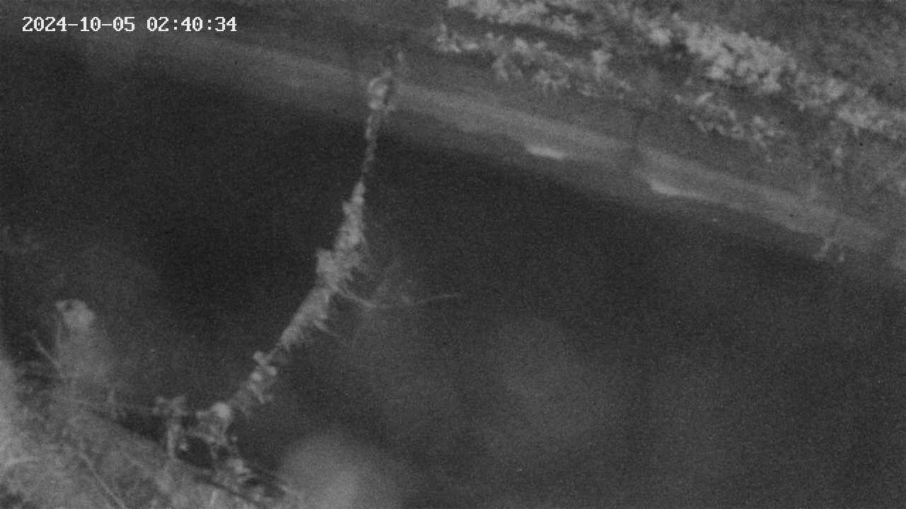 area10-20241005024035.jpg
