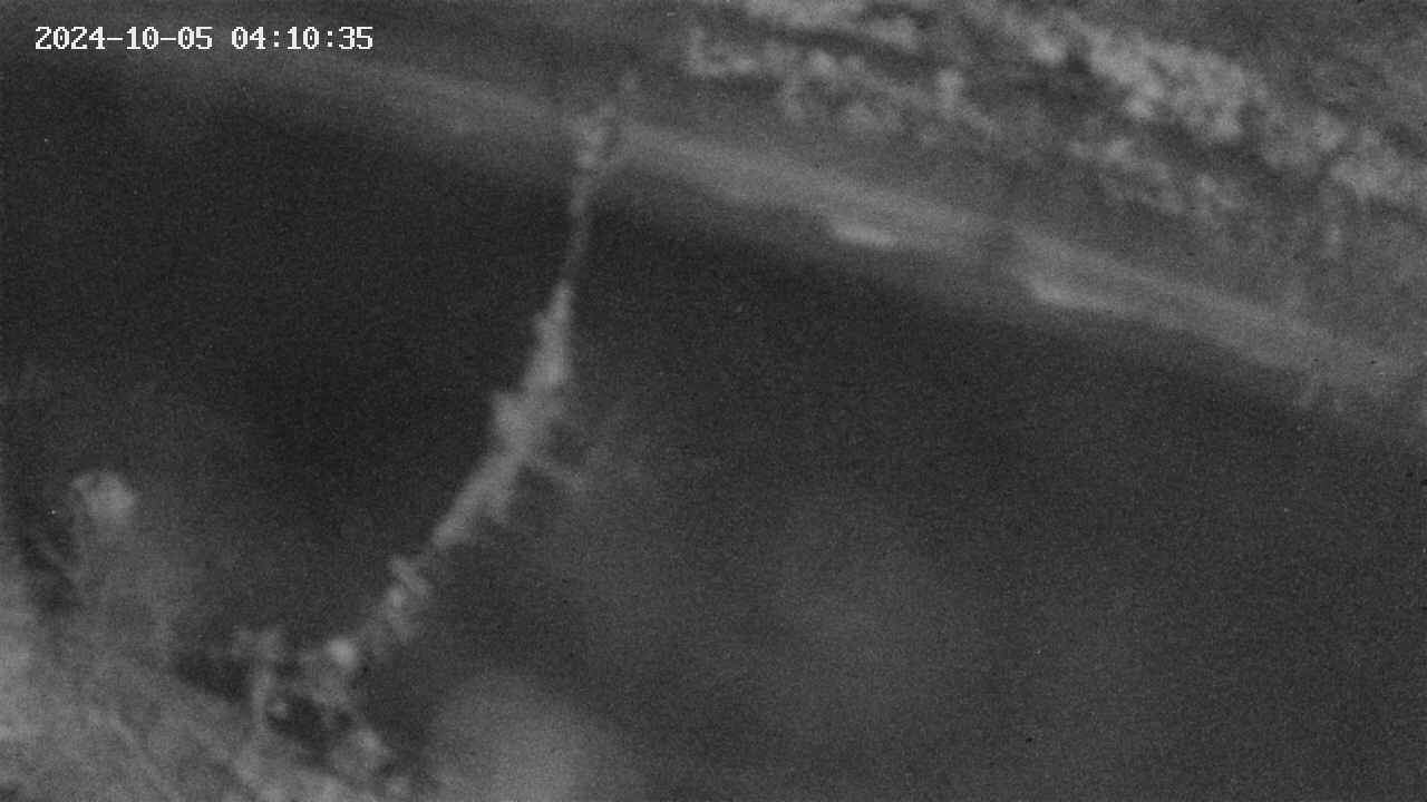 area10-20241005041036.jpg