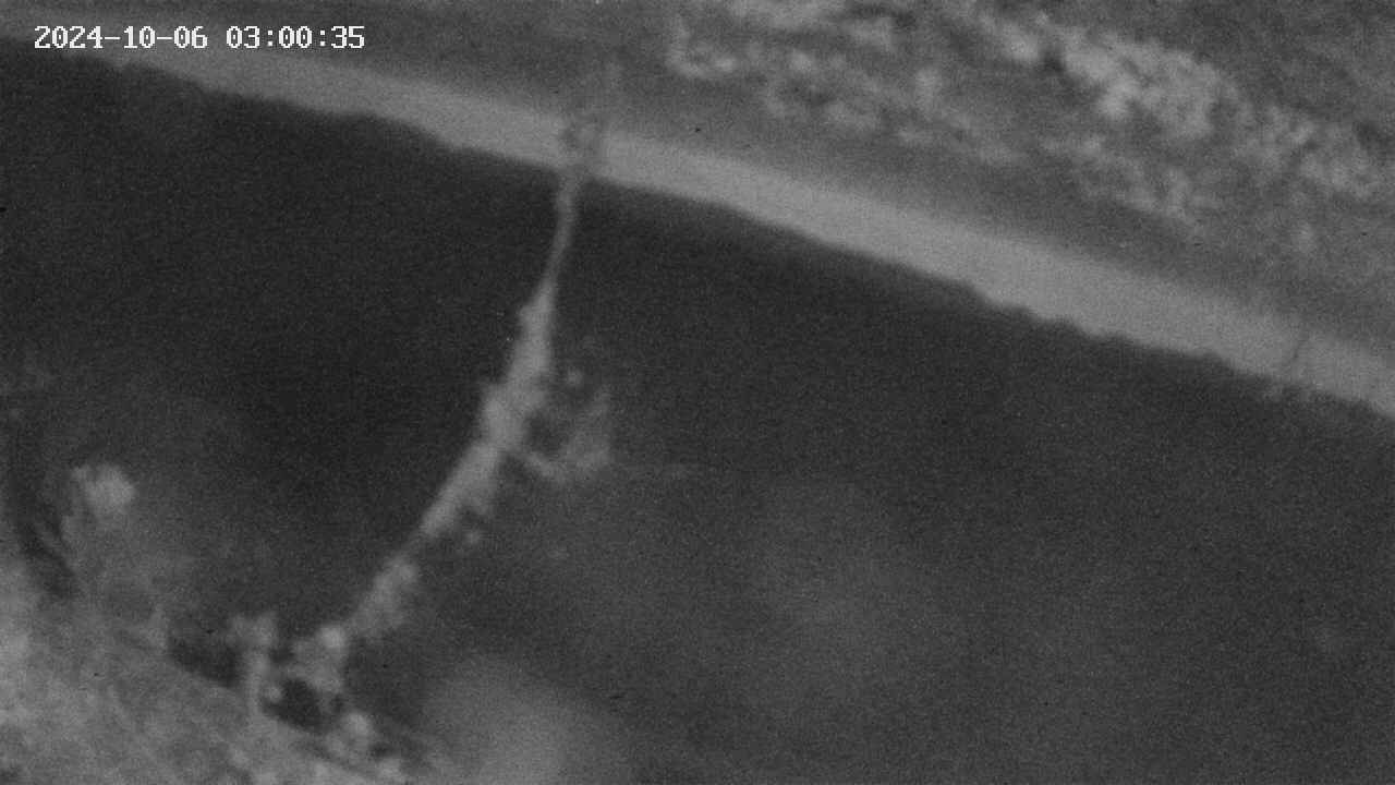 area10-20241006030035.jpg