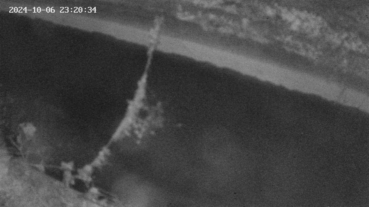 area10-20241006232035.jpg