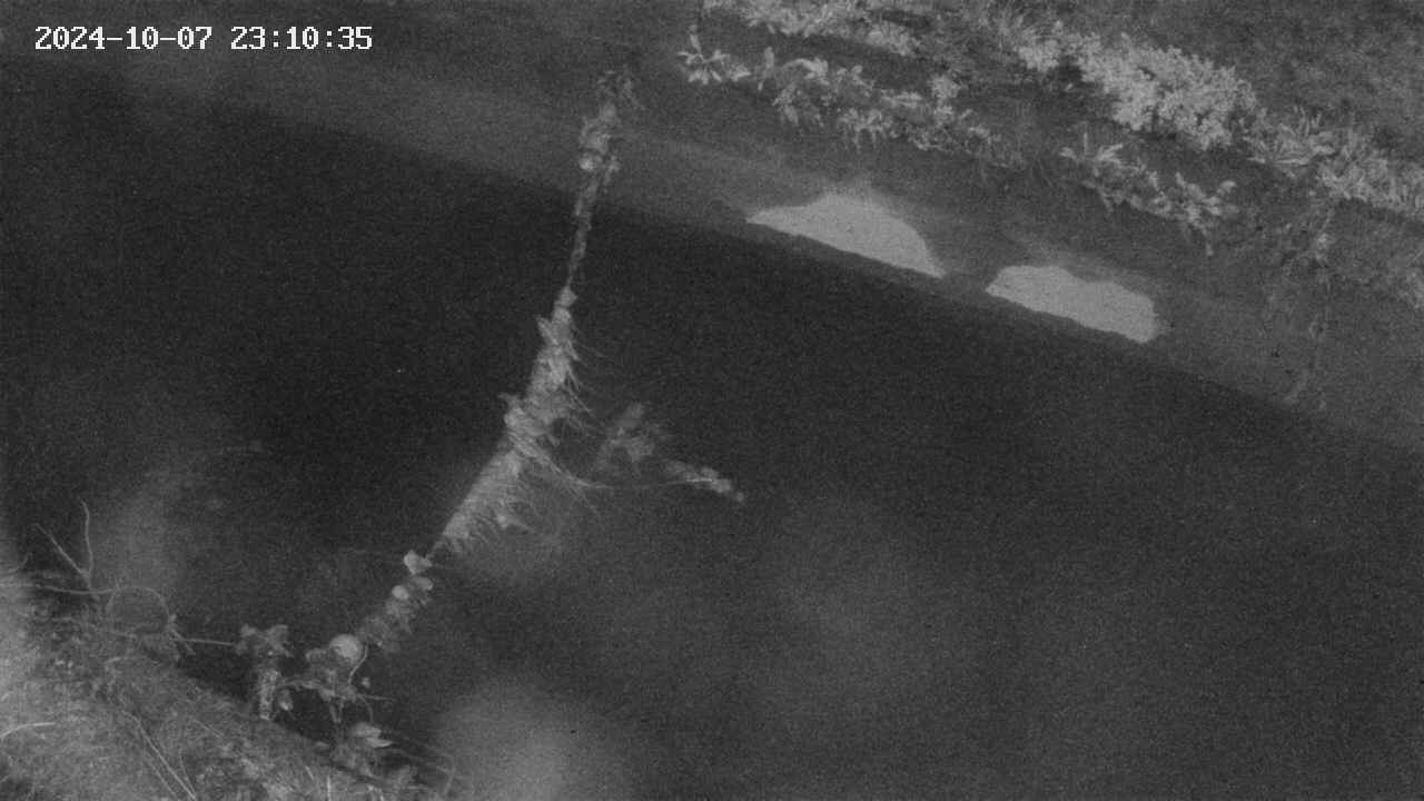 area10-20241007231035.jpg