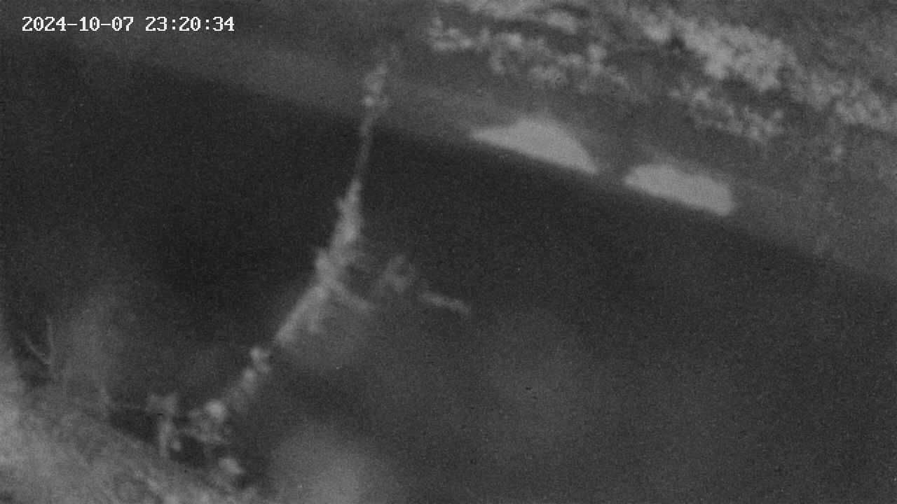 area10-20241007232034.jpg