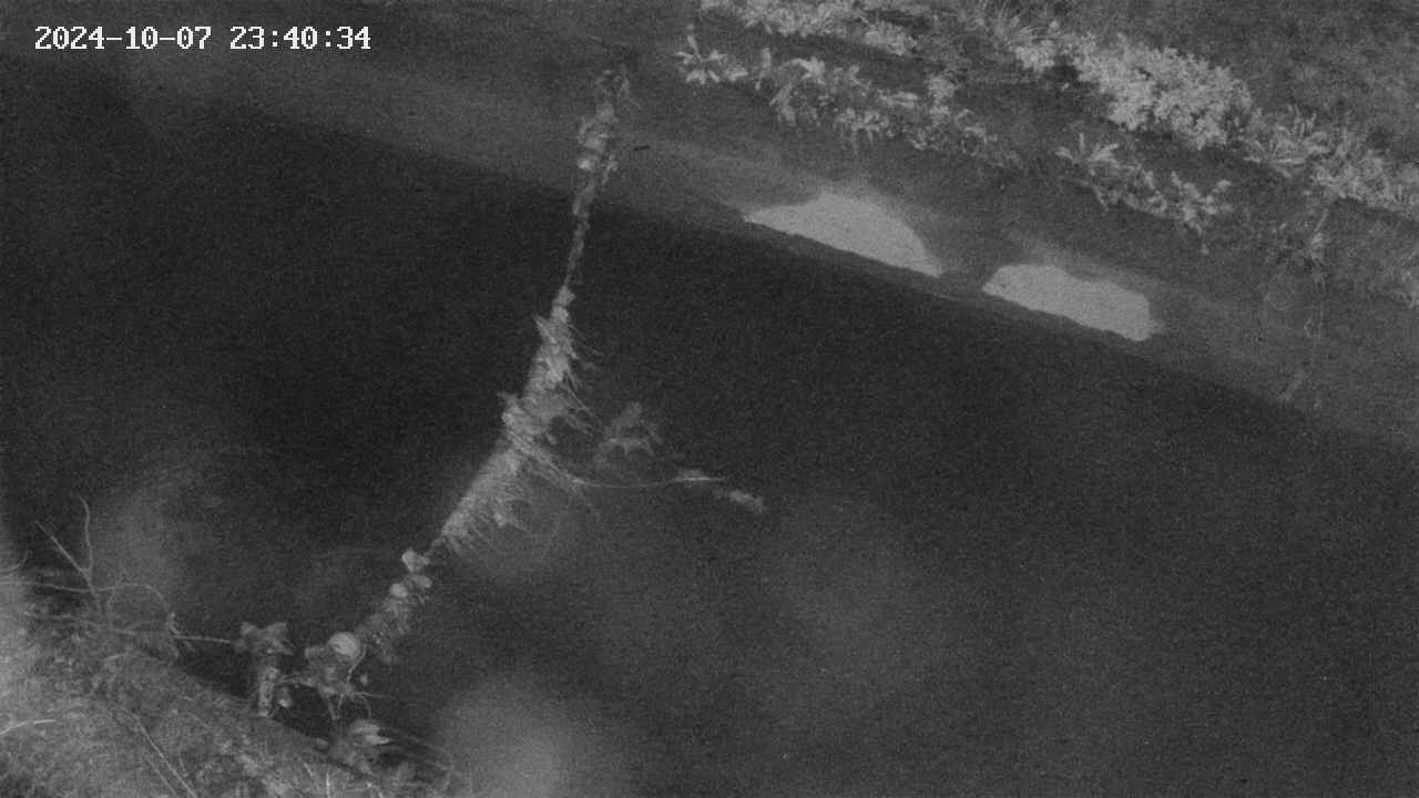 area10-20241007234035.jpg