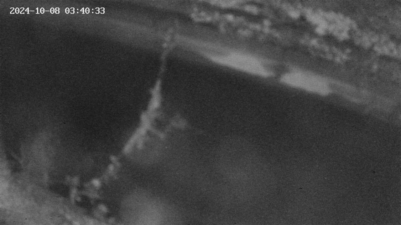 area10-20241008034034.jpg