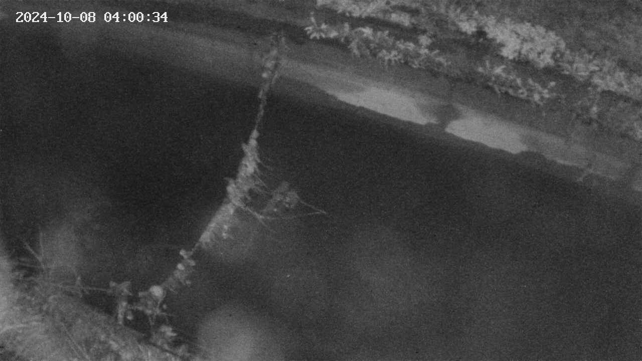 area10-20241008040034.jpg