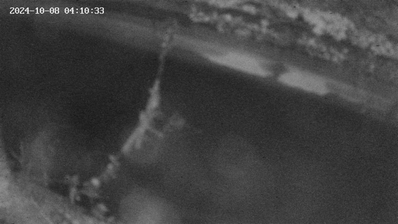 area10-20241008041034.jpg