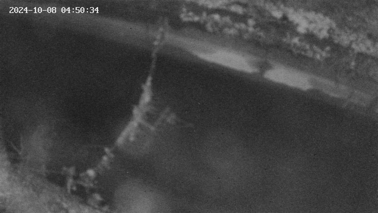 area10-20241008045035.jpg