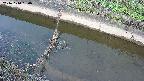 area10-20241010060036.jpg