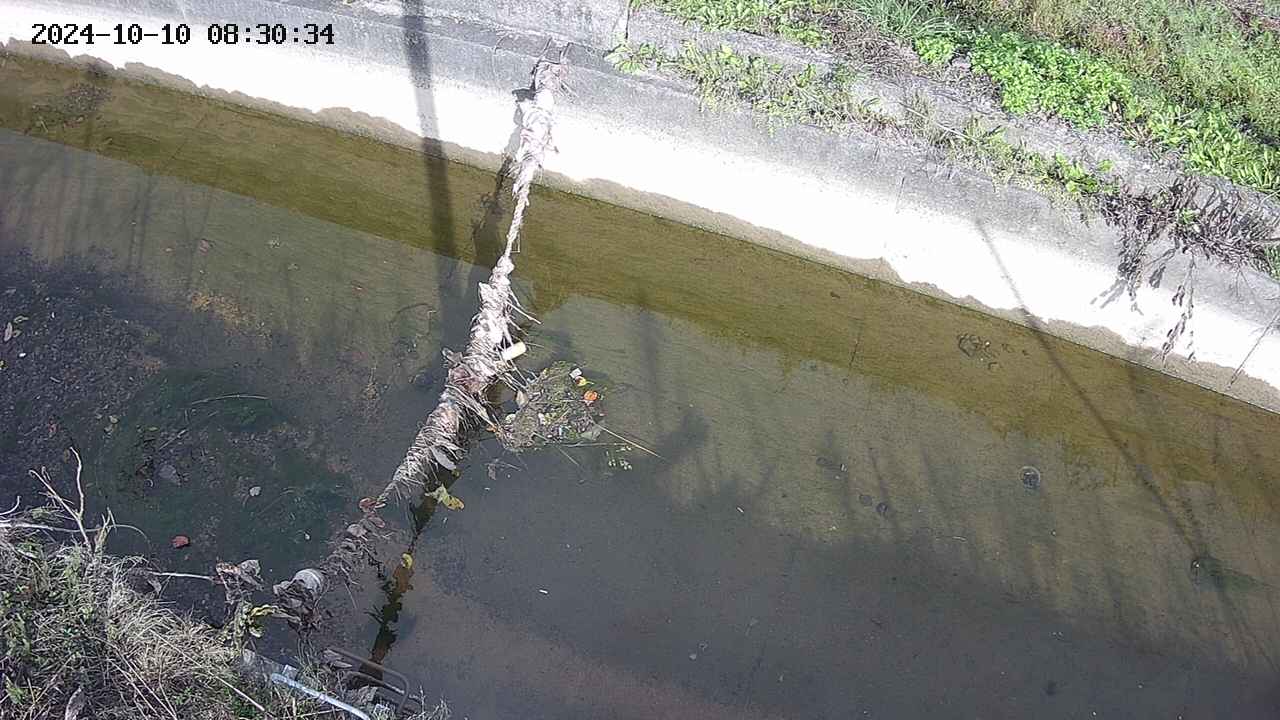 area10-20241010083035.jpg