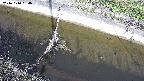 area10-20241010084034.jpg