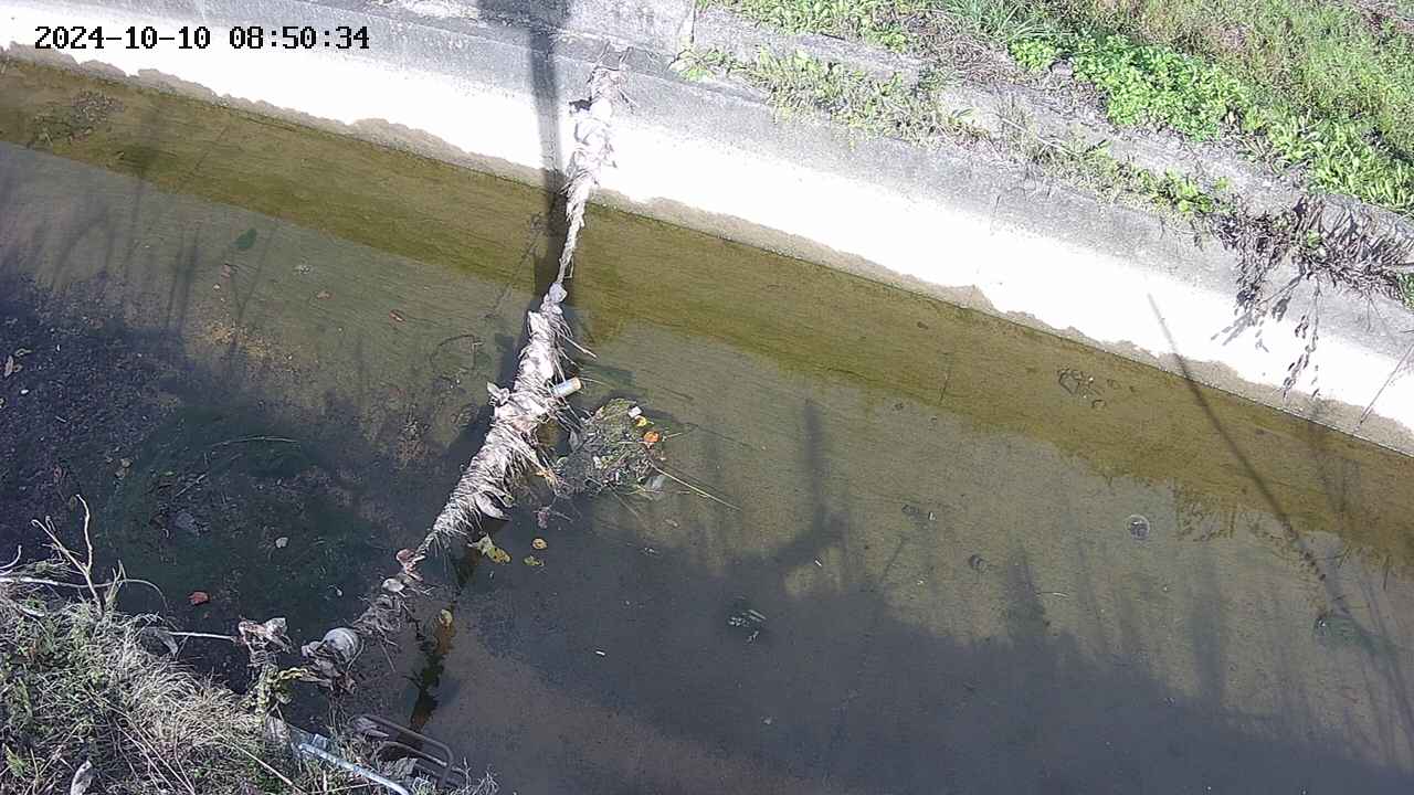 area10-20241010085035.jpg