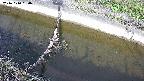area10-20241010090036.jpg