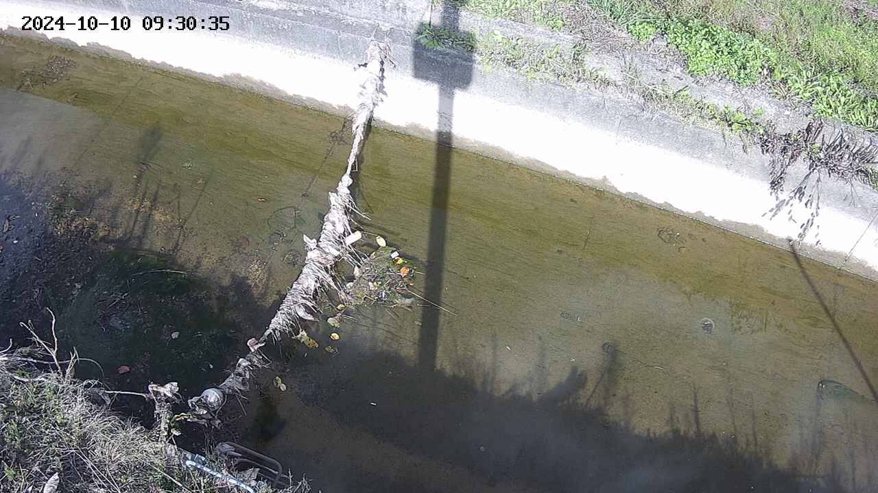 area10-20241010093036.jpg