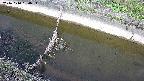 area10-20241010094035.jpg