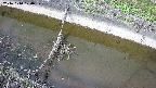 area10-20241010120038.jpg
