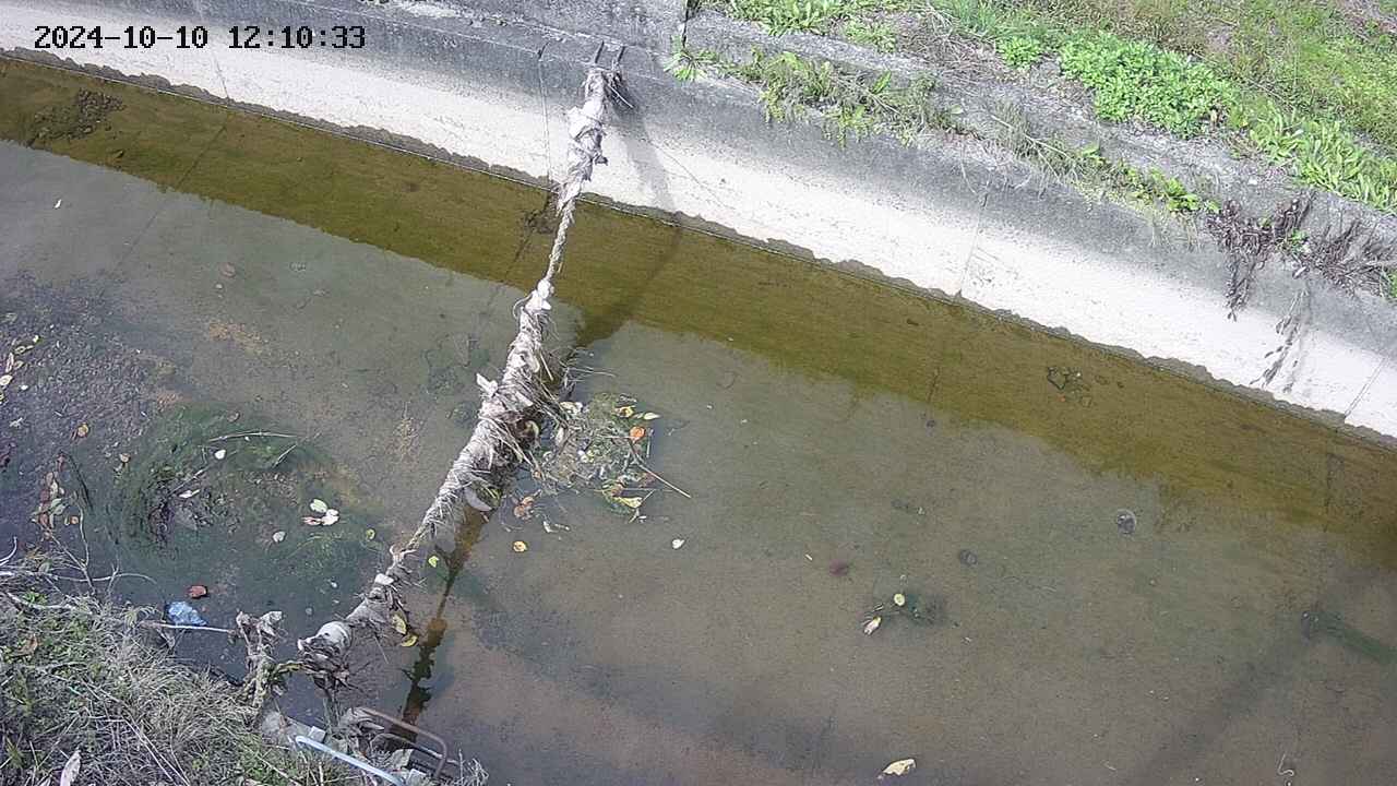 area10-20241010121034.jpg