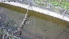 area10-20241010121034.jpg